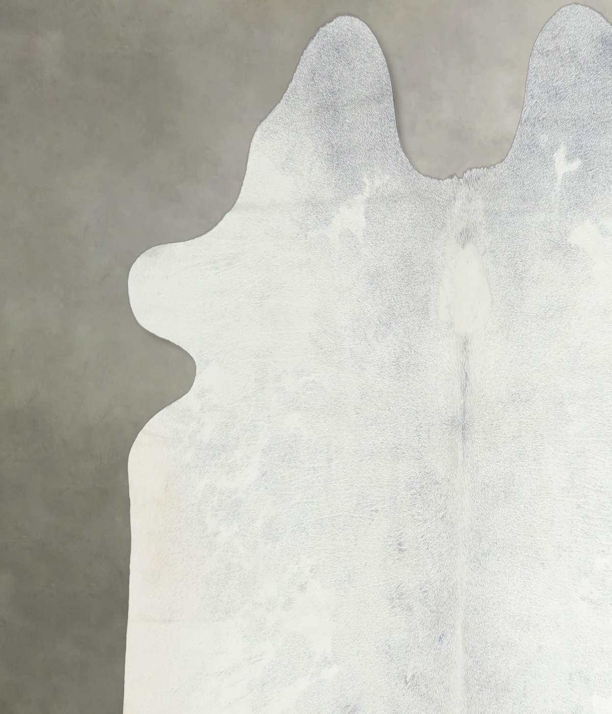 Light Grey Large Brazilian Cowhide Rug 5'5"H x 6'4"W #A20001 by Hudson Hides