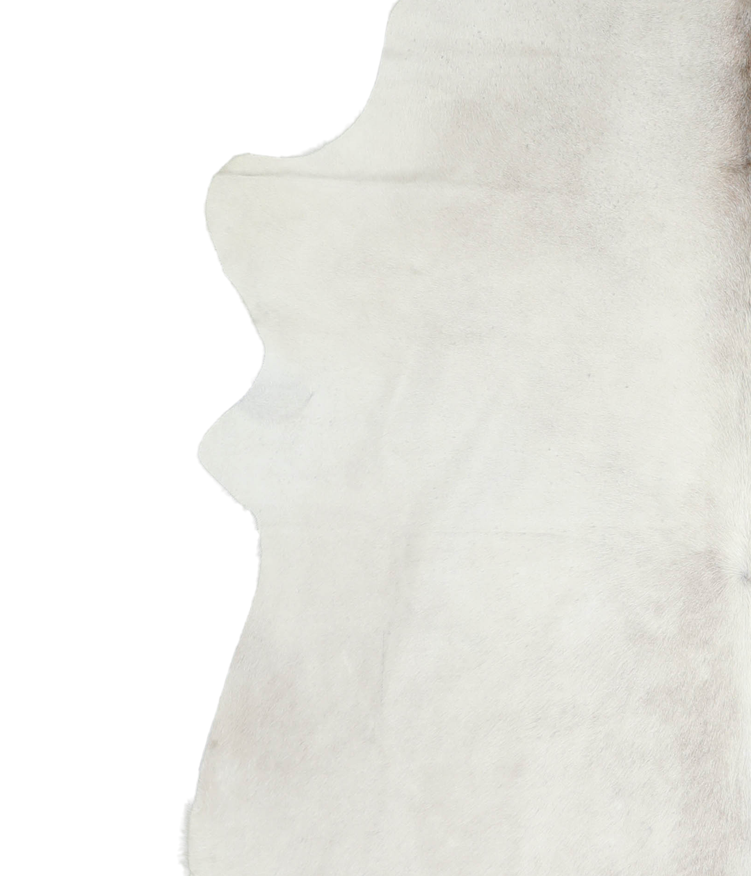 Ivory with Beige X-Large Brazilian Cowhide Rug 7'1"H x 6'7"W #A20015 b