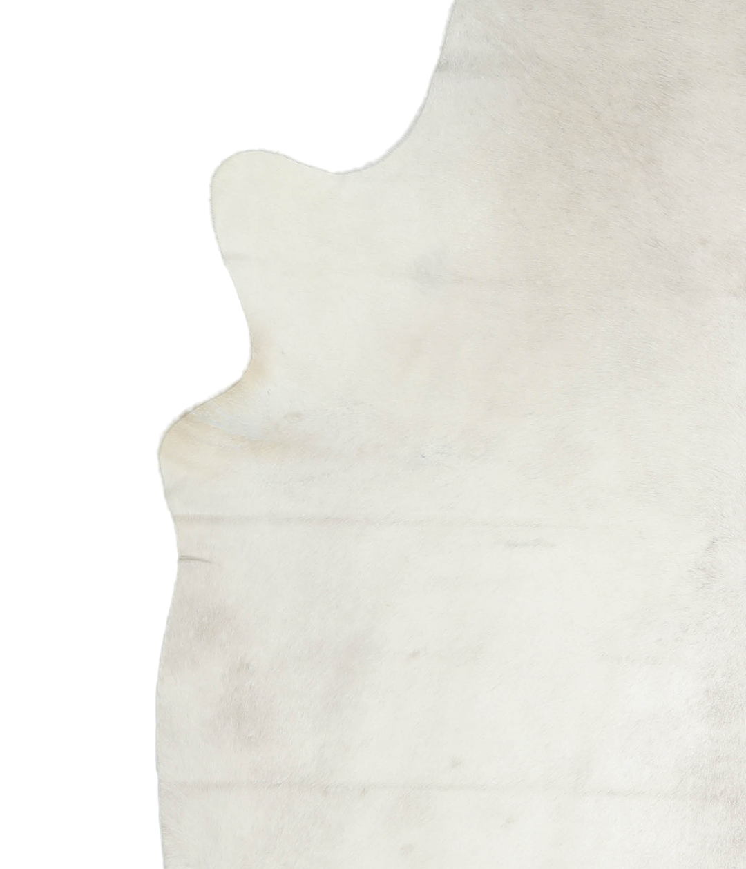 Ivory with Beige XX-Large Brazilian Cowhide Rug 7'8"H x 6'6"W #A20141 