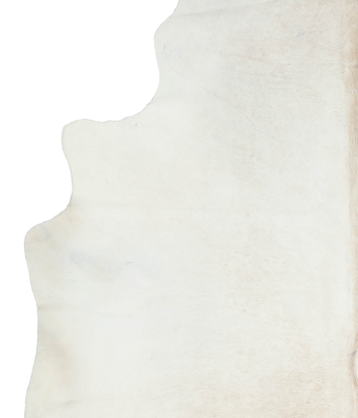 Ivory with Beige XX-Large Brazilian Cowhide Rug 8'0"H x 6'5"W #A20149 by Hudson Hides