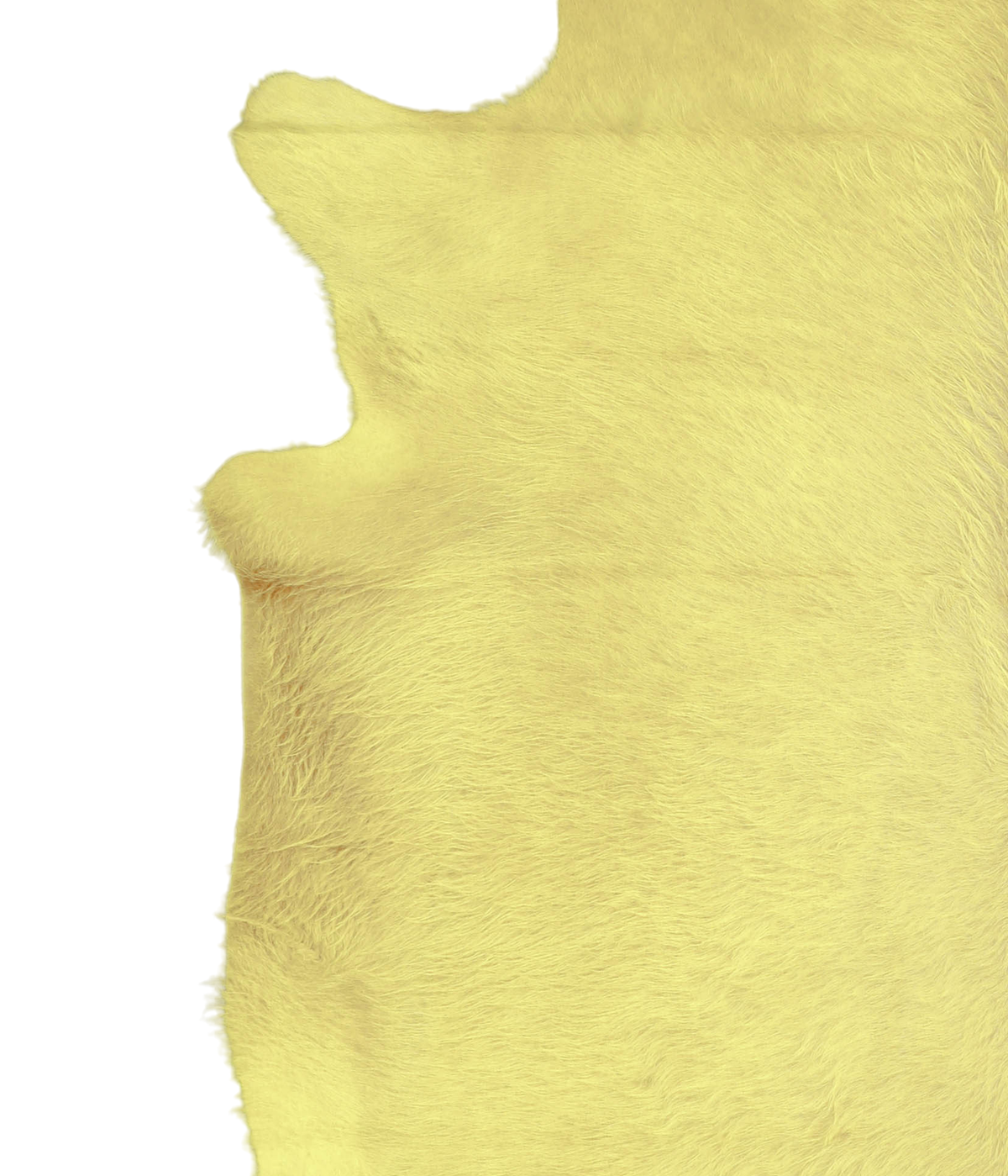 Dyed Yellow X-Large Brazilian Cowhide Rug 6'10"H x 6'9"W #A20175 by Hudson Hides
