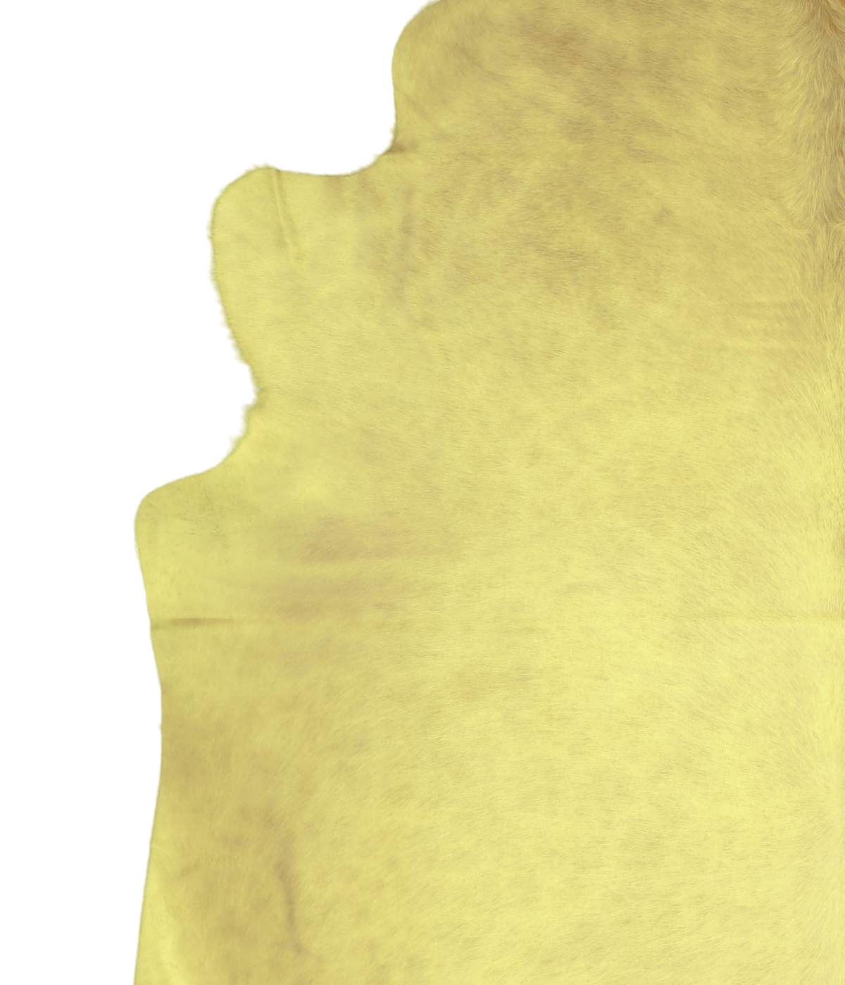Dyed Yellow X-Large Brazilian Cowhide Rug 7'6"H x 6'7"W #A20179 by Hudson Hides