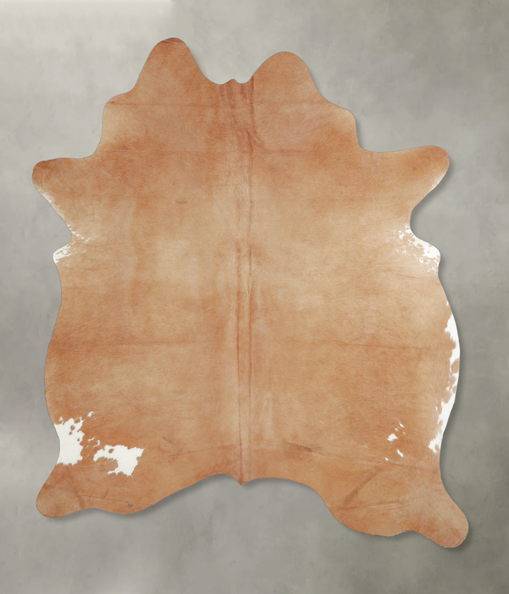 Beige Large Brazilian Cowhide Rug 6'5"H x 5'7"W #A20283 by Hudson Hides