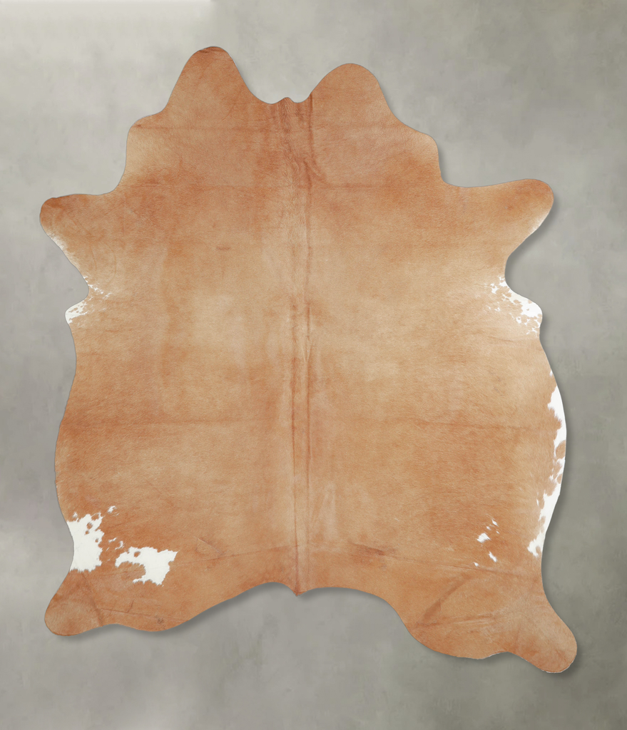 Beige Large Brazilian Cowhide Rug 6'5"H x 5'7"W #A20283 by Hudson Hides