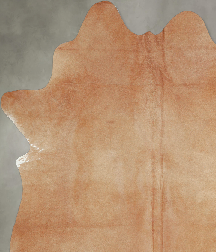 Beige Large Brazilian Cowhide Rug 6'5"H x 5'7"W #A20283 by Hudson Hides