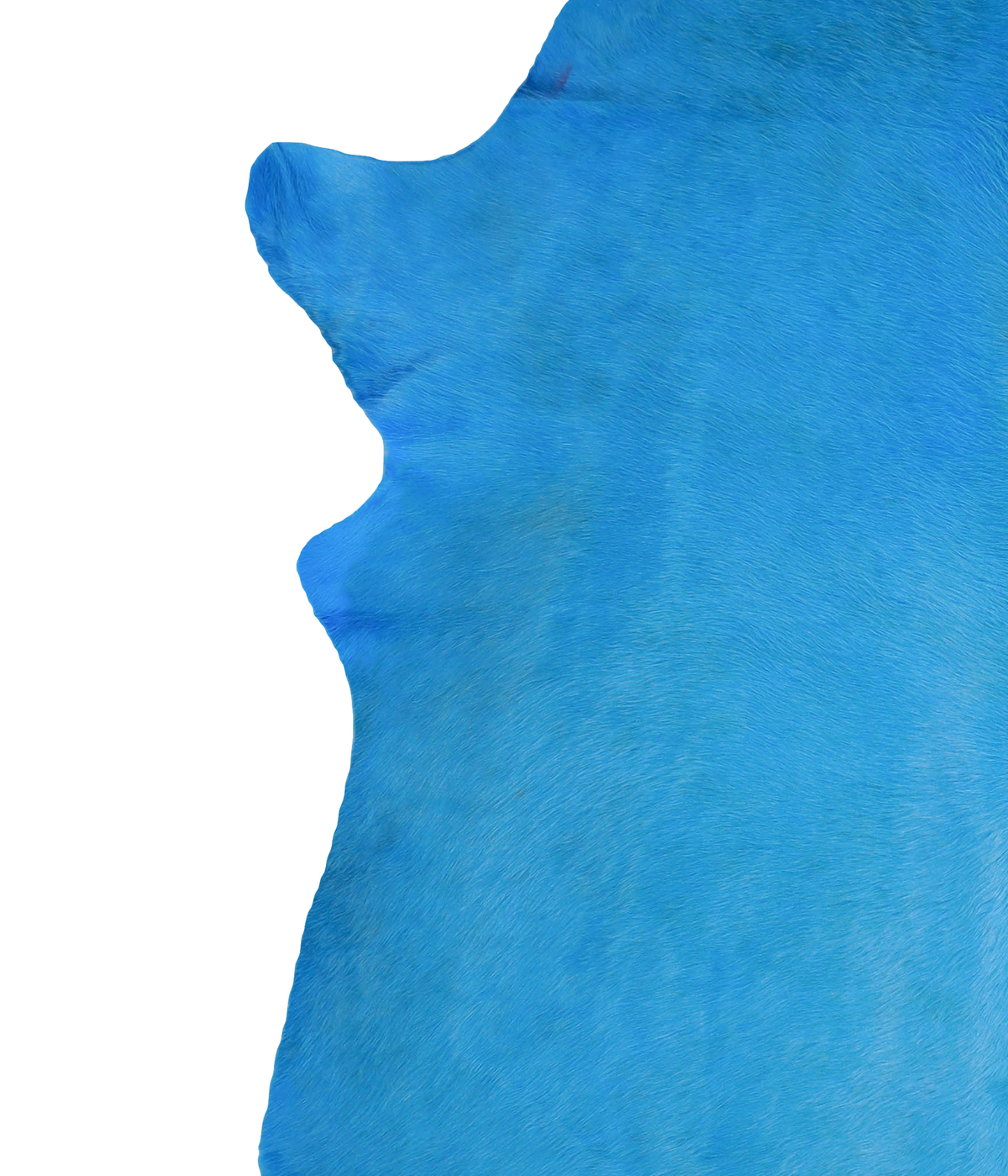 Dyed Sea Blue XX-Large Brazilian Cowhide Rug 7'8"H x 7'2"W #A20366 by Hudson Hides