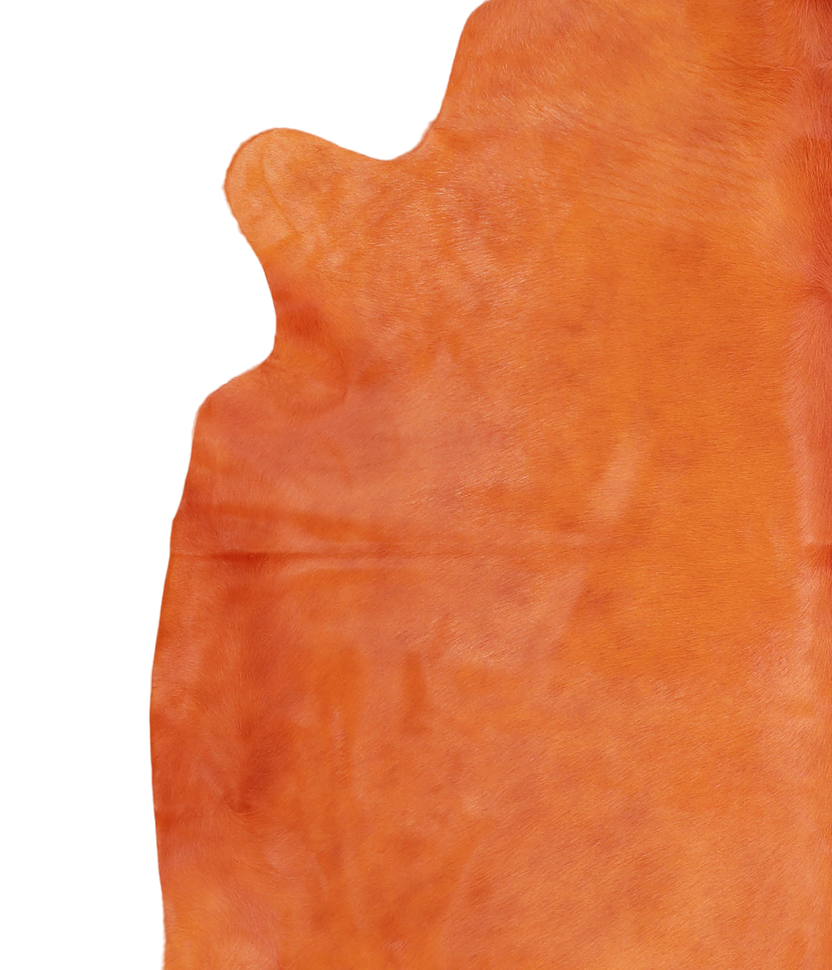 Dyed Orange XX-Large Brazilian Cowhide Rug 7'2"H x 7'0"W #A20484 by Hudson Hides