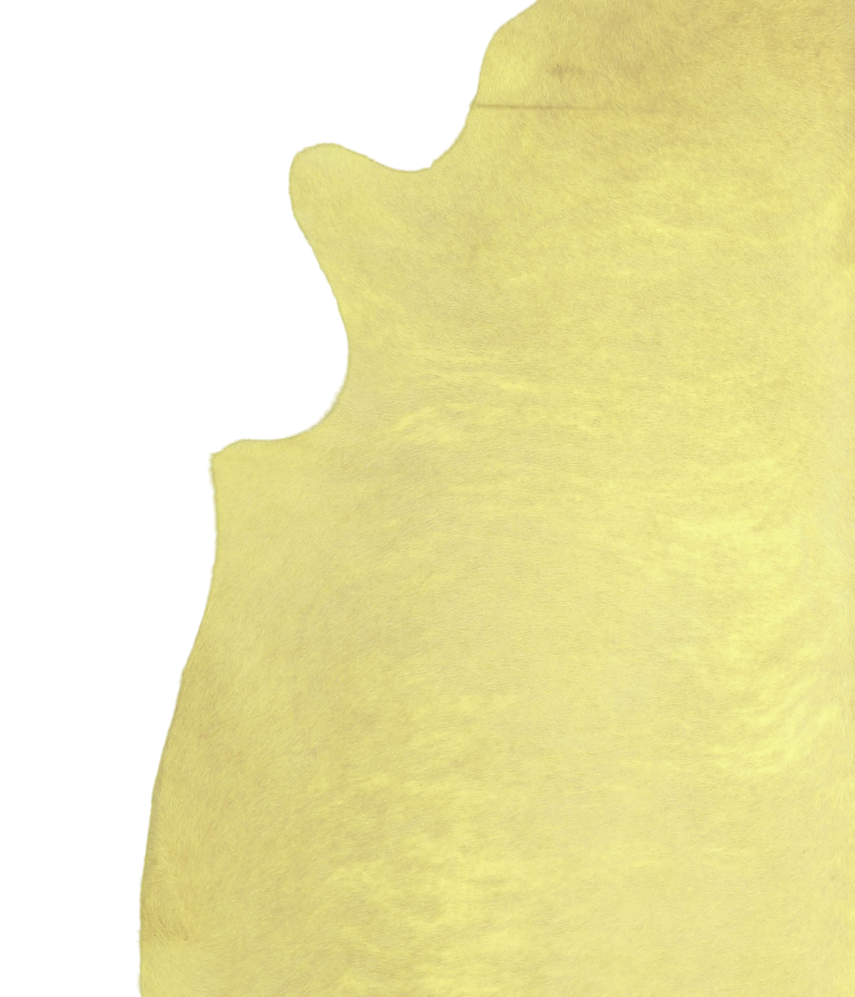 Dyed Yellow XX-Large Brazilian Cowhide Rug 7'4"H x 7'1"W #A20571 by Hudson Hides