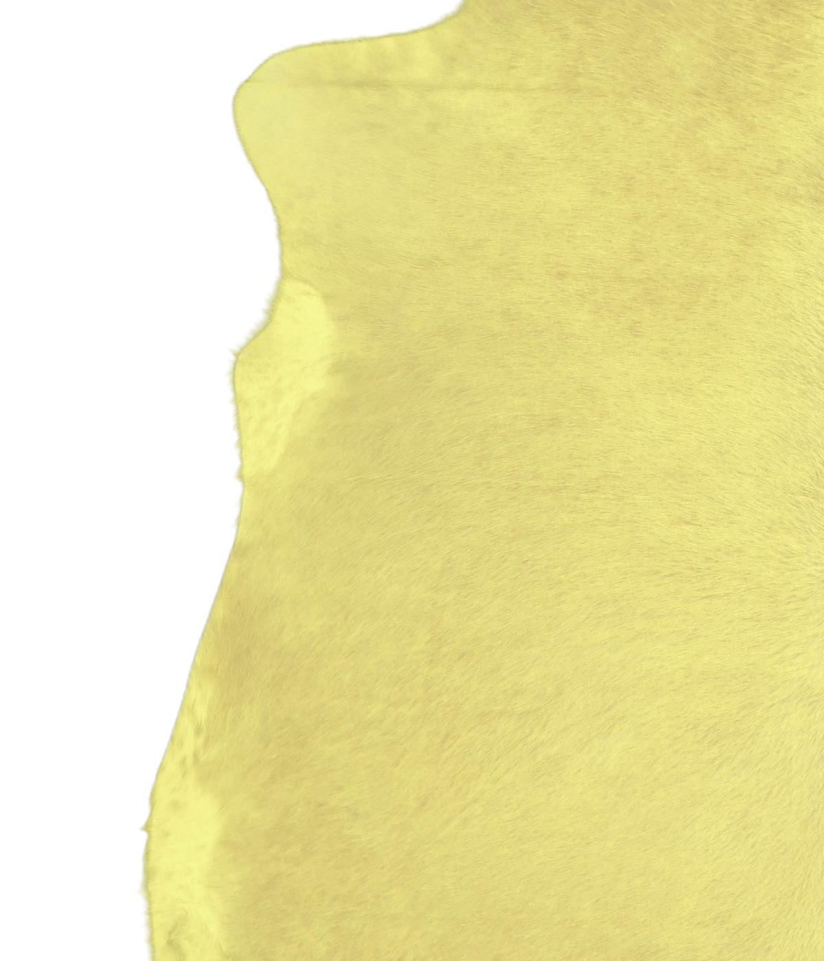 Dyed Yellow XX-Large Brazilian Cowhide Rug 7'3"H x 7'0"W #A20572 by Hudson Hides