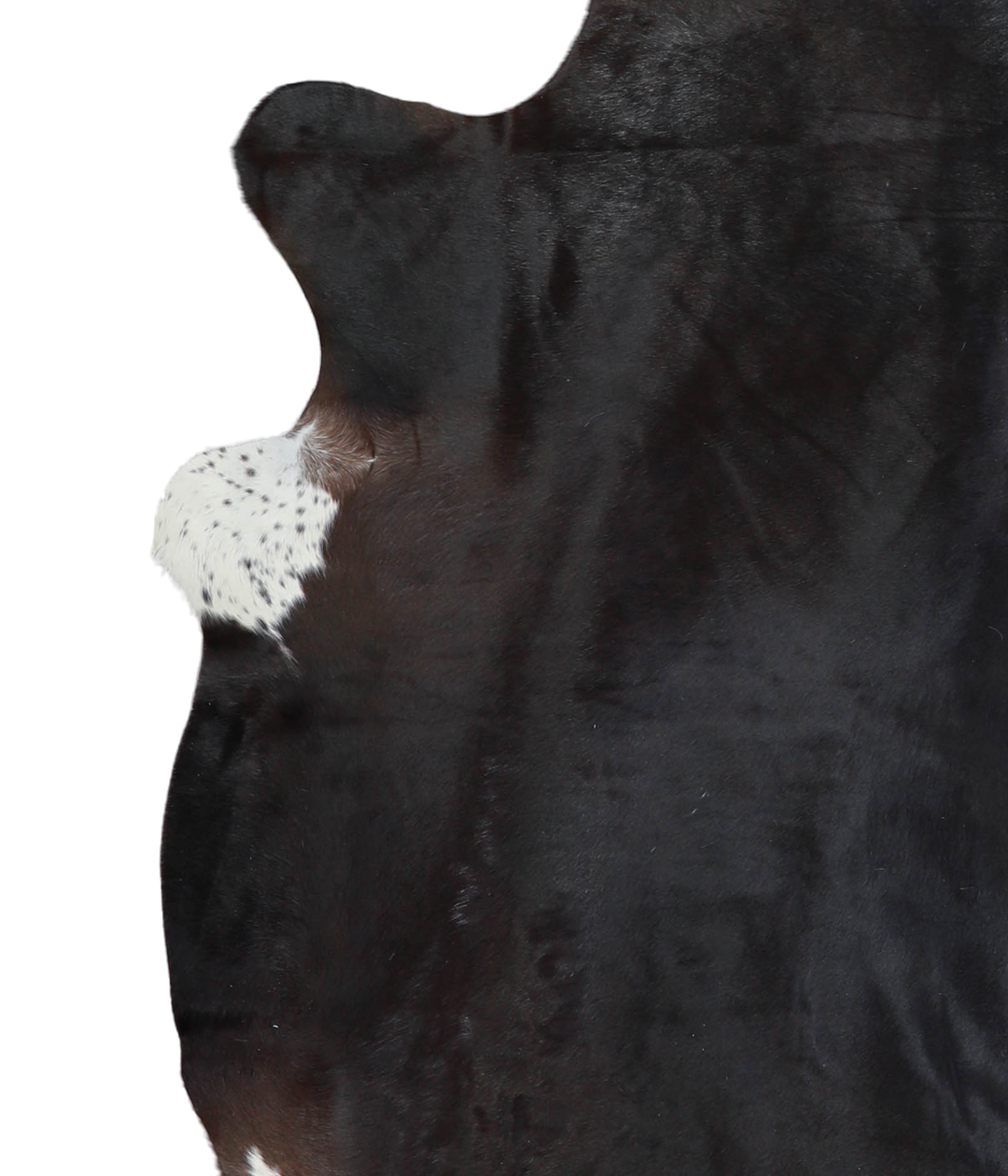 Solid Black X-Large Brazilian Cowhide Rug 7'1"H x 6'7"W #A20577 by Hud