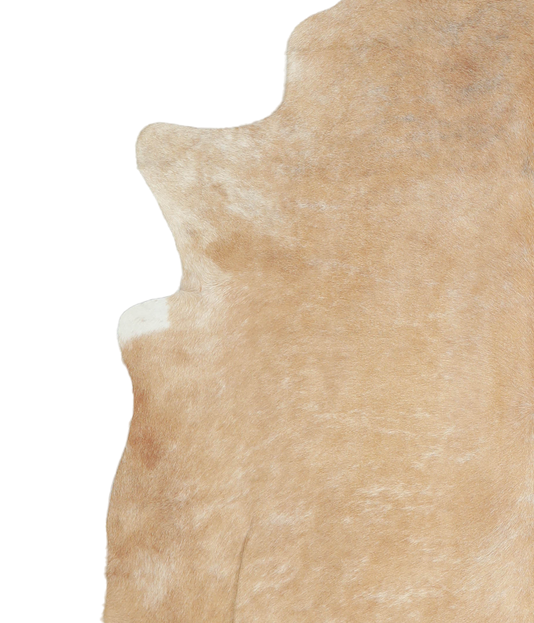 Beige XX-Large Brazilian Cowhide Rug 7'3"H x 6'10"W #A20605 by Hudson 