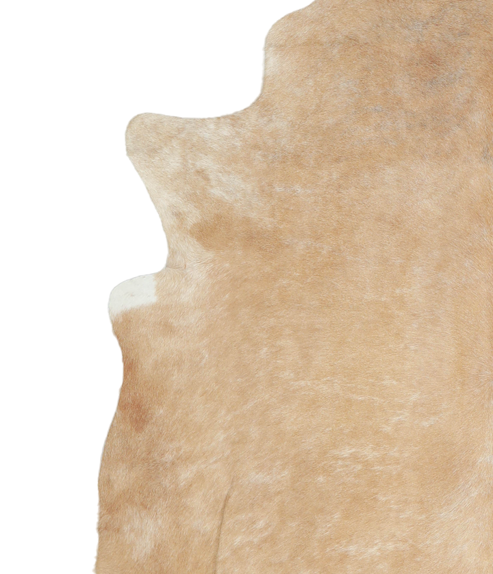 Beige XX-Large Brazilian Cowhide Rug 7'3"H x 6'10"W #A20605 by Hudson Hides