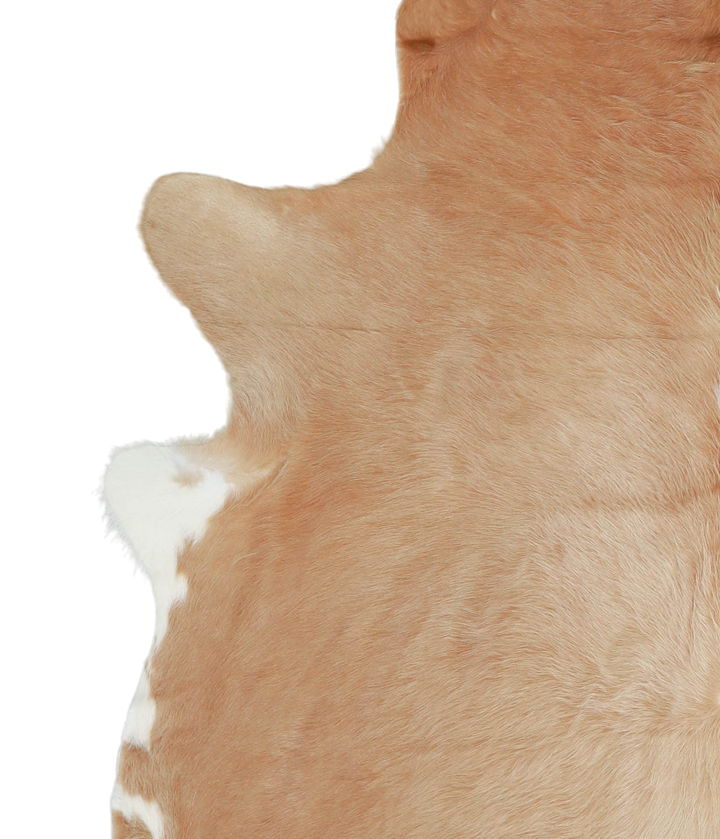 Beige XX-Large Brazilian Cowhide Rug 7'9"H x 6'8"W #A20616 by Hudson Hides