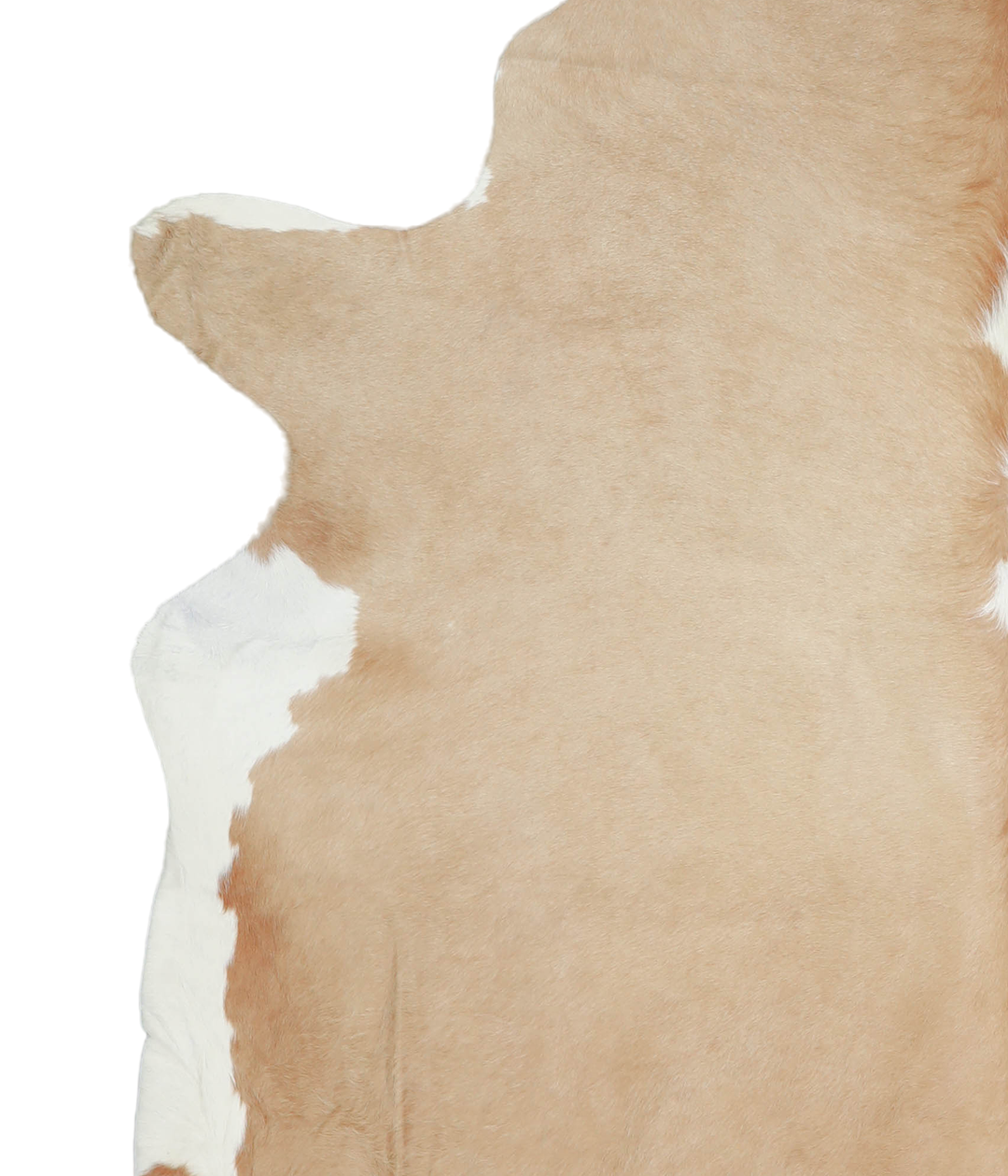 Beige and White XX-Large Brazilian Cowhide Rug 7'11"H x 6'11"W #A20620
