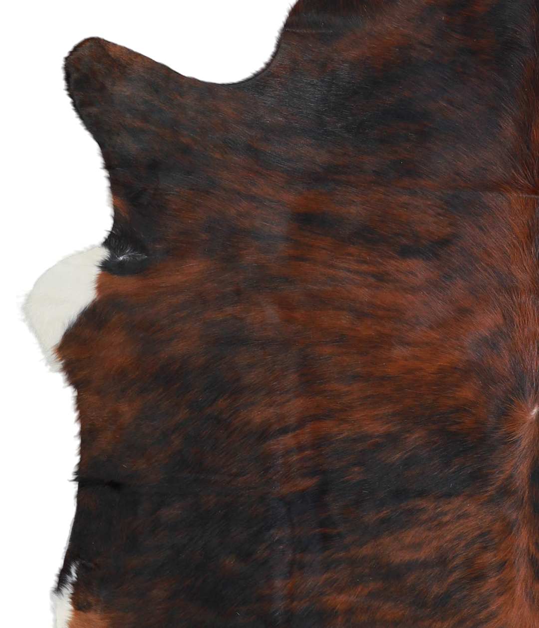 Dark Brindle Large Brazilian Cowhide Rug 6'0"H x 6'0"W #A20624 by Huds