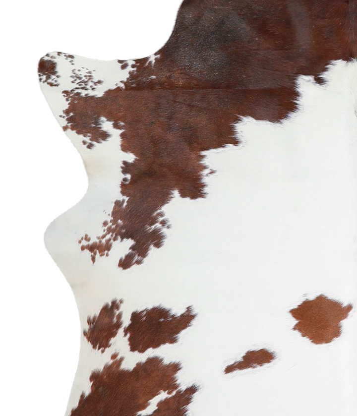 Brown and White Large Brazilian Cowhide Rug 6'8"H x 5'11"W #A20638 by Hudson Hides