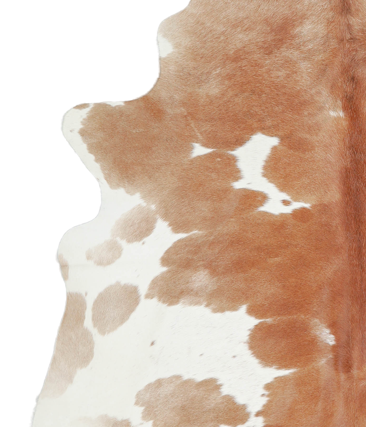 Brown and White X-Large Brazilian Cowhide Rug 6'6"H x 6'3"W #A20640 by Hudson Hides