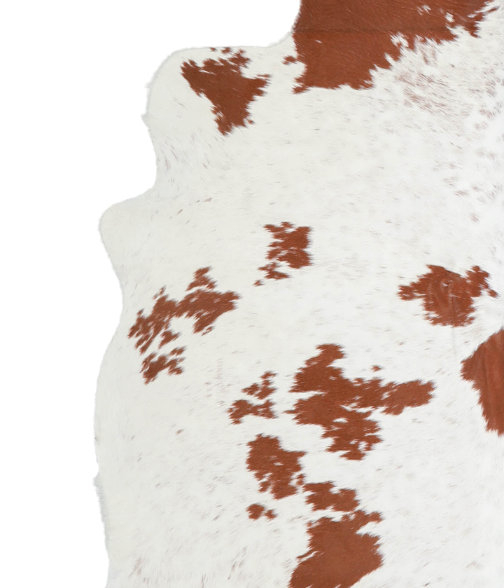 Brown and White Large Brazilian Cowhide Rug 5'11"H x 5'10"W #A20641 by Hudson Hides