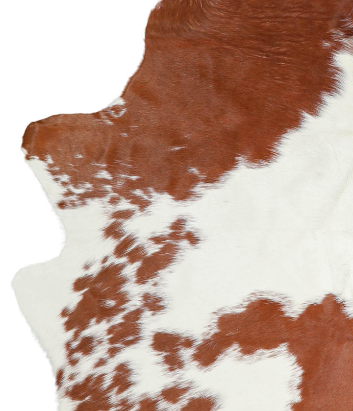 Brown and White Large Brazilian Cowhide Rug 5'10"H x 5'6"W #A20642 by Hudson Hides