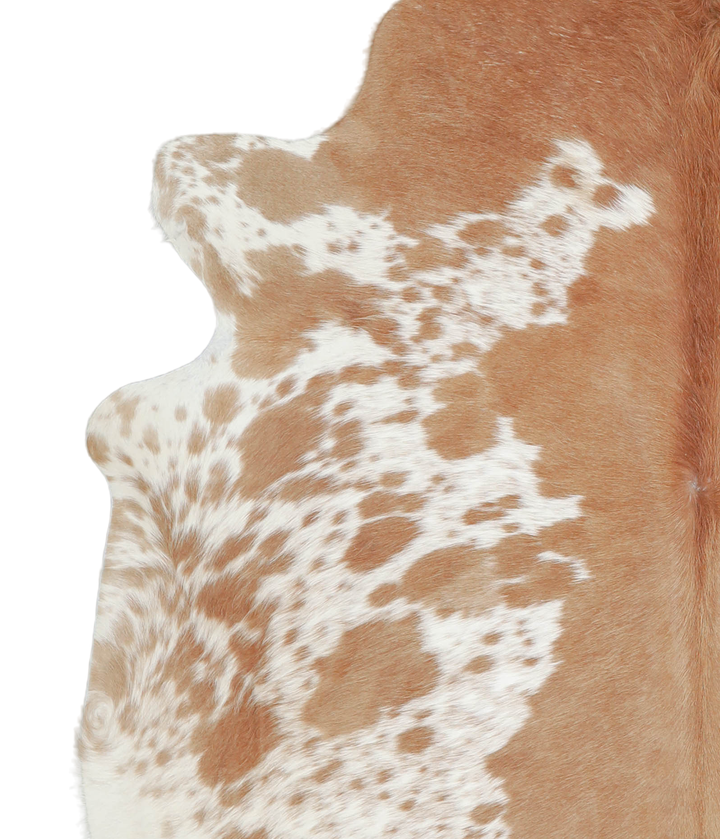 Brown and White X-Large Brazilian Cowhide Rug 6'10"H x 6'6"W #A20658 by Hudson Hides