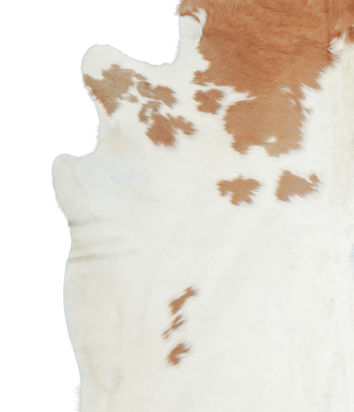 Beige and White X-Large Brazilian Cowhide Rug 7'3"H x 6'7"W #A20660 by Hudson Hides