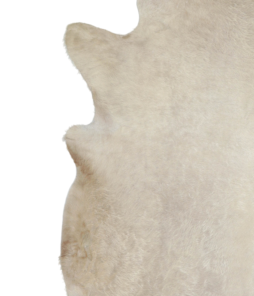 Champagne X-Large Brazilian Cowhide Rug 6'11"H x 6'6"W #A20679 by Huds