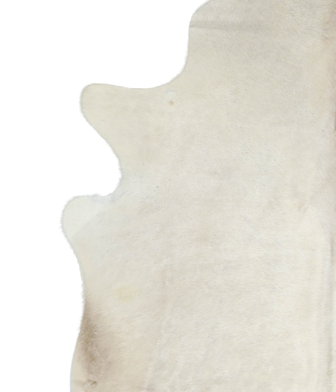 Champagne X-Large Brazilian Cowhide Rug 7'4"H x 6'7"W #A20680 by Hudso