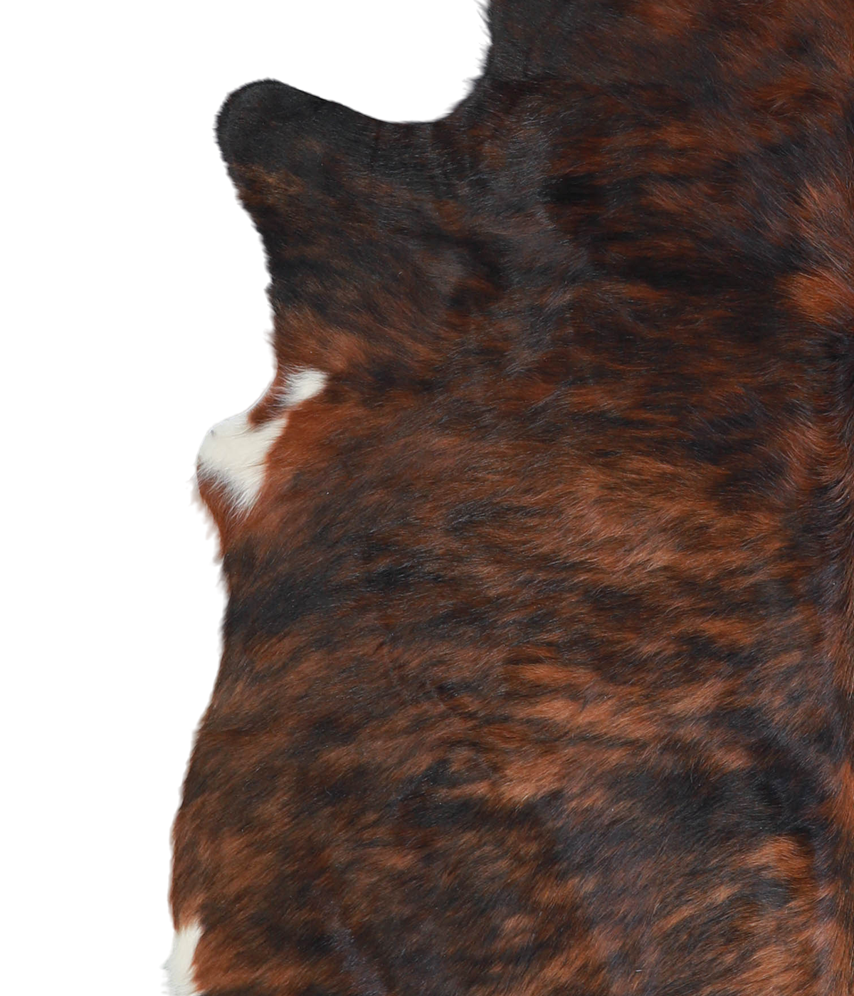 Dark Brindle X-Large Brazilian Cowhide Rug 6'7"H x 6'1"W #A20711 by Hudson Hides