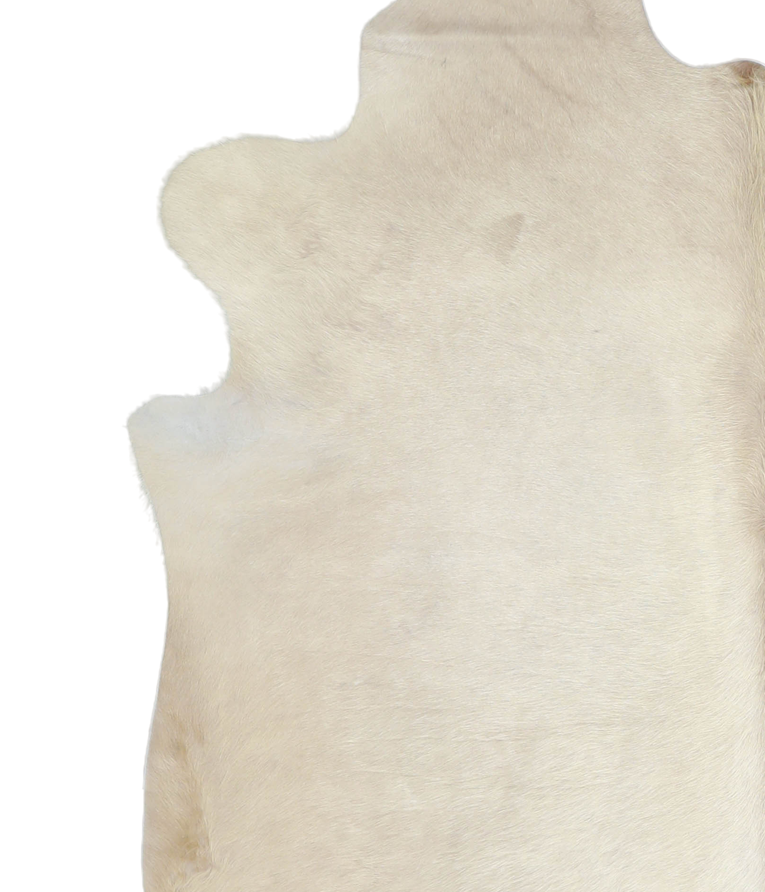 Champagne X-Large Brazilian Cowhide Rug 7'4"H x 6'7"W #A20714 by Hudso