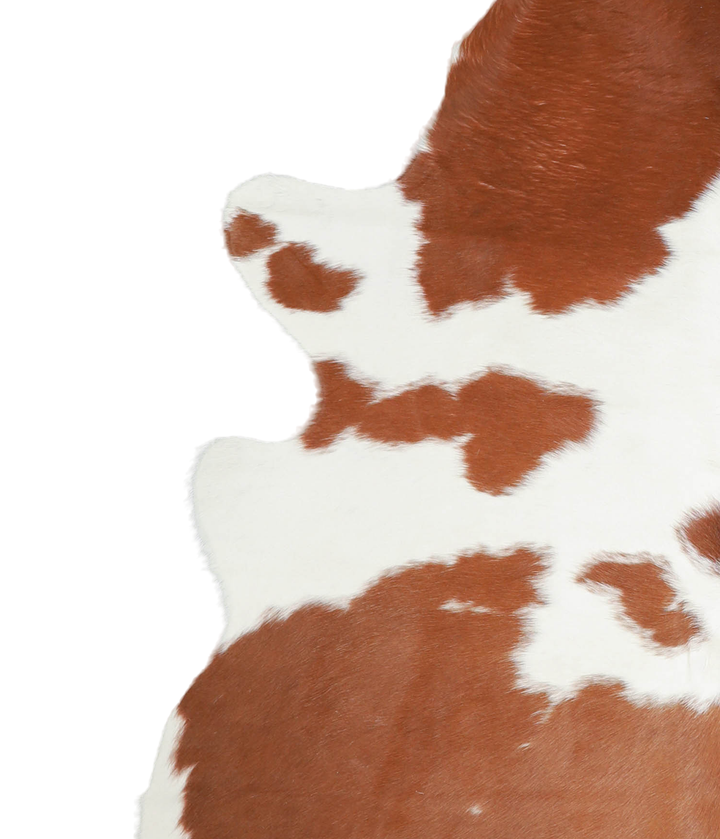 Brown and White X-Large Brazilian Cowhide Rug 7'0"H x 6'1"W #A20739 by Hudson Hides