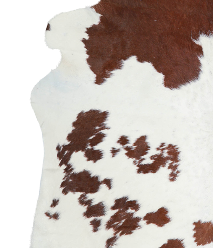 Brown and White X-Large Brazilian Cowhide Rug 6'6"H x 6'3"W #A20740 by Hudson Hides