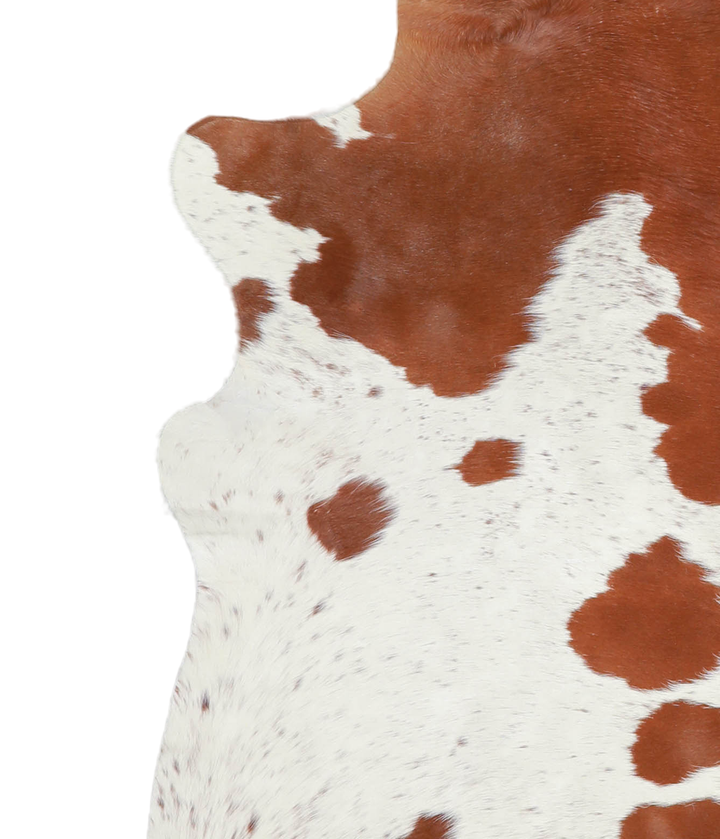 Brown and White Large Brazilian Cowhide Rug 6'5"H x 5'5"W #A20743 by Hudson Hides