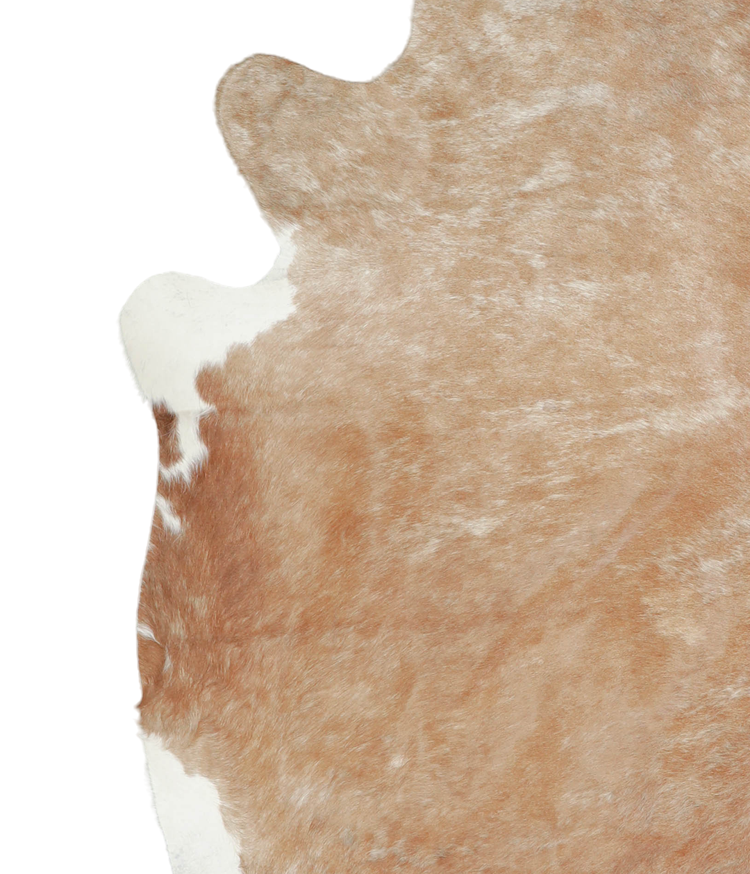 Beige X-Large Brazilian Cowhide Rug 6'9"H x 6'8"W #A20750 by Hudson Hi