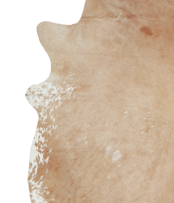 Beige XX-Large Brazilian Cowhide Rug 7'5"H x 6'9"W #A20752 by Hudson Hides
