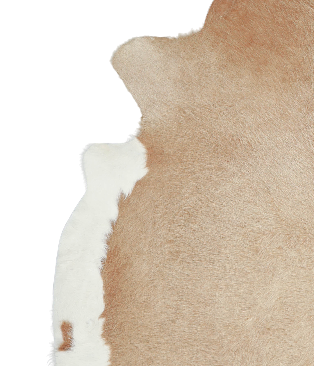 Beige XX-Large Brazilian Cowhide Rug 7'3"H x 7'1"W #A20774 by Hudson H