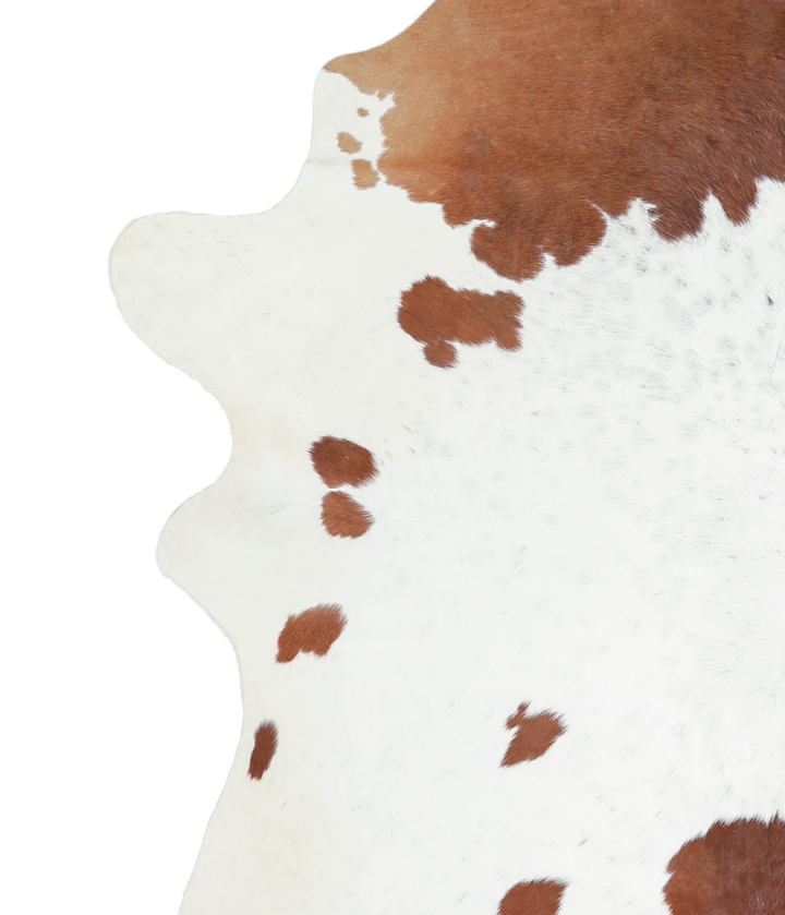 Brown and White X-Large Brazilian Cowhide Rug 6'10"H x 6'2"W #A20793 by Hudson Hides