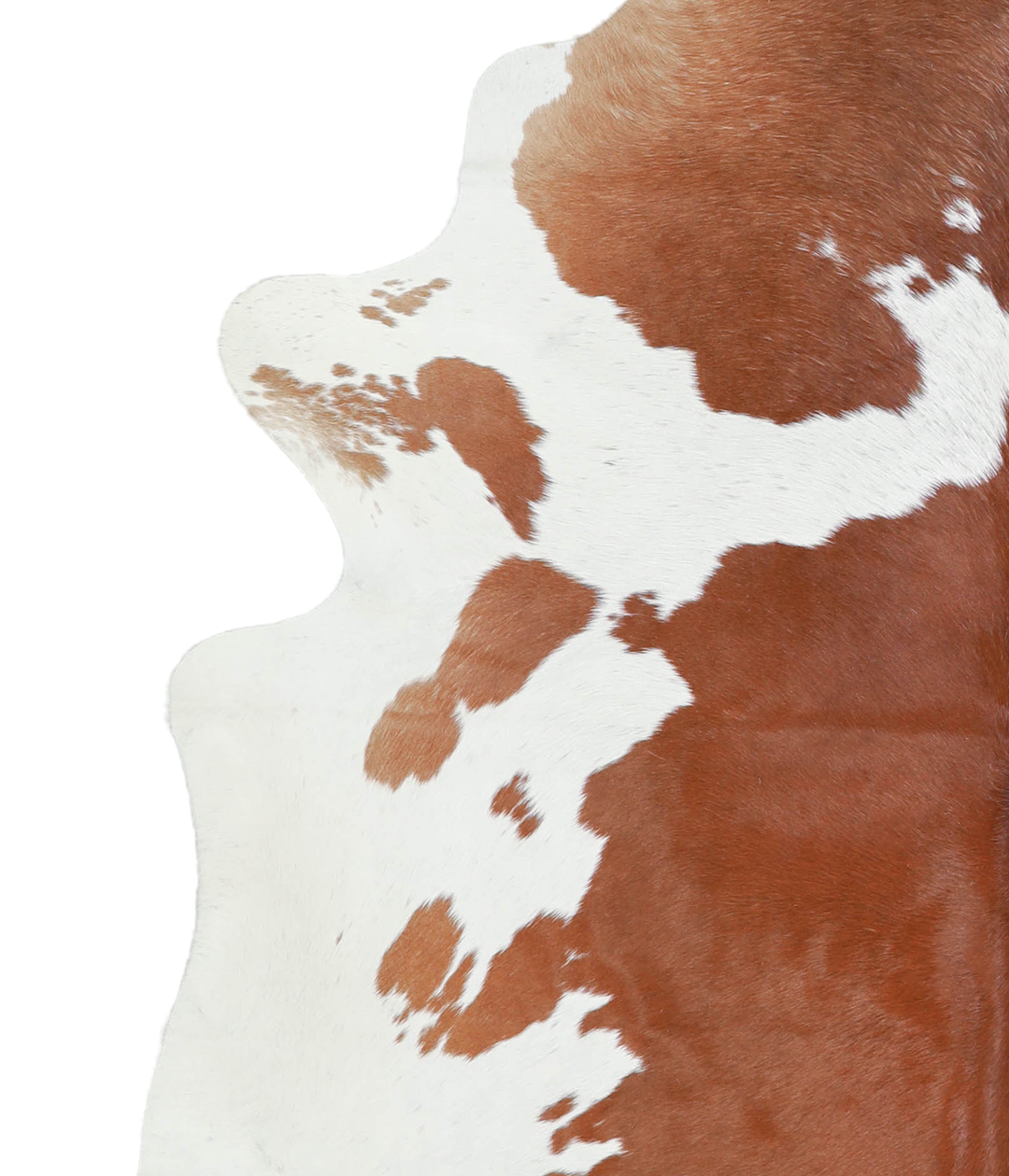 Brown and White X-Large Brazilian Cowhide Rug 7'2"H x 6'7"W #A20794 by