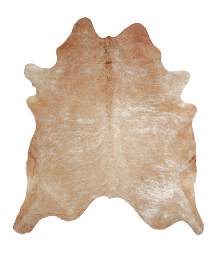 Beige XX-Large Brazilian Cowhide Rug 8'0"H x 6'11"W #A20803 by Hudson Hides