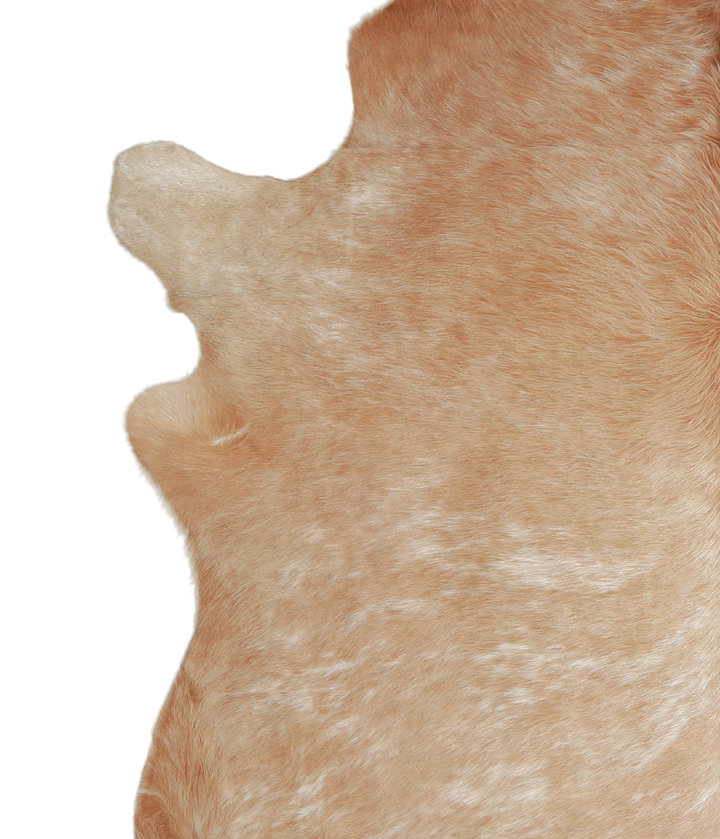 Beige XX-Large Brazilian Cowhide Rug 8'0"H x 6'11"W #A20803 by Hudson Hides