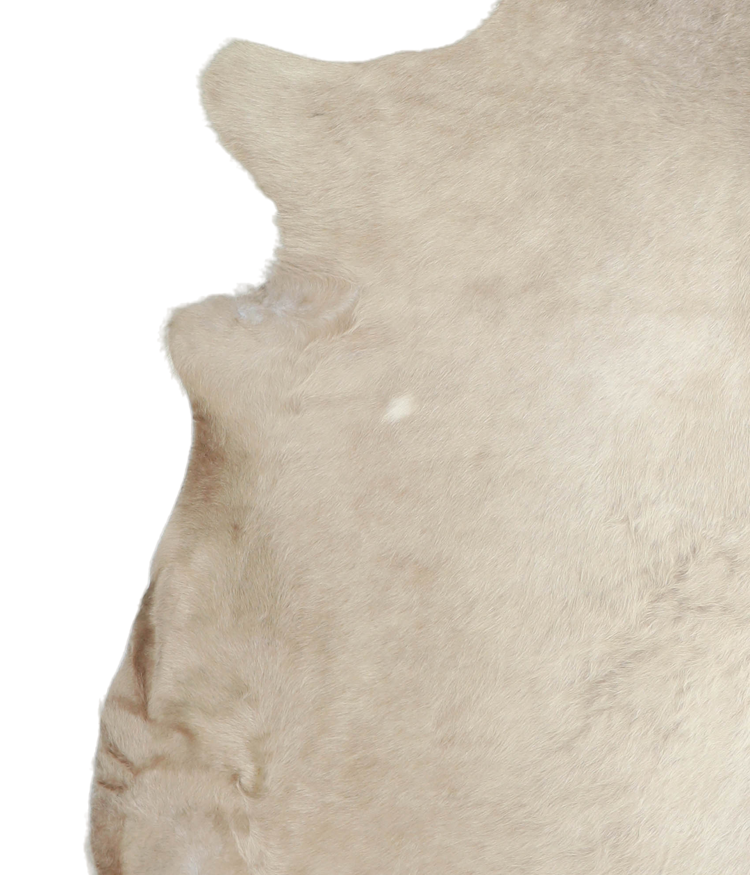 Champagne X-Large Brazilian Cowhide Rug 7'0"H x 6'11"W #A20837 by Huds