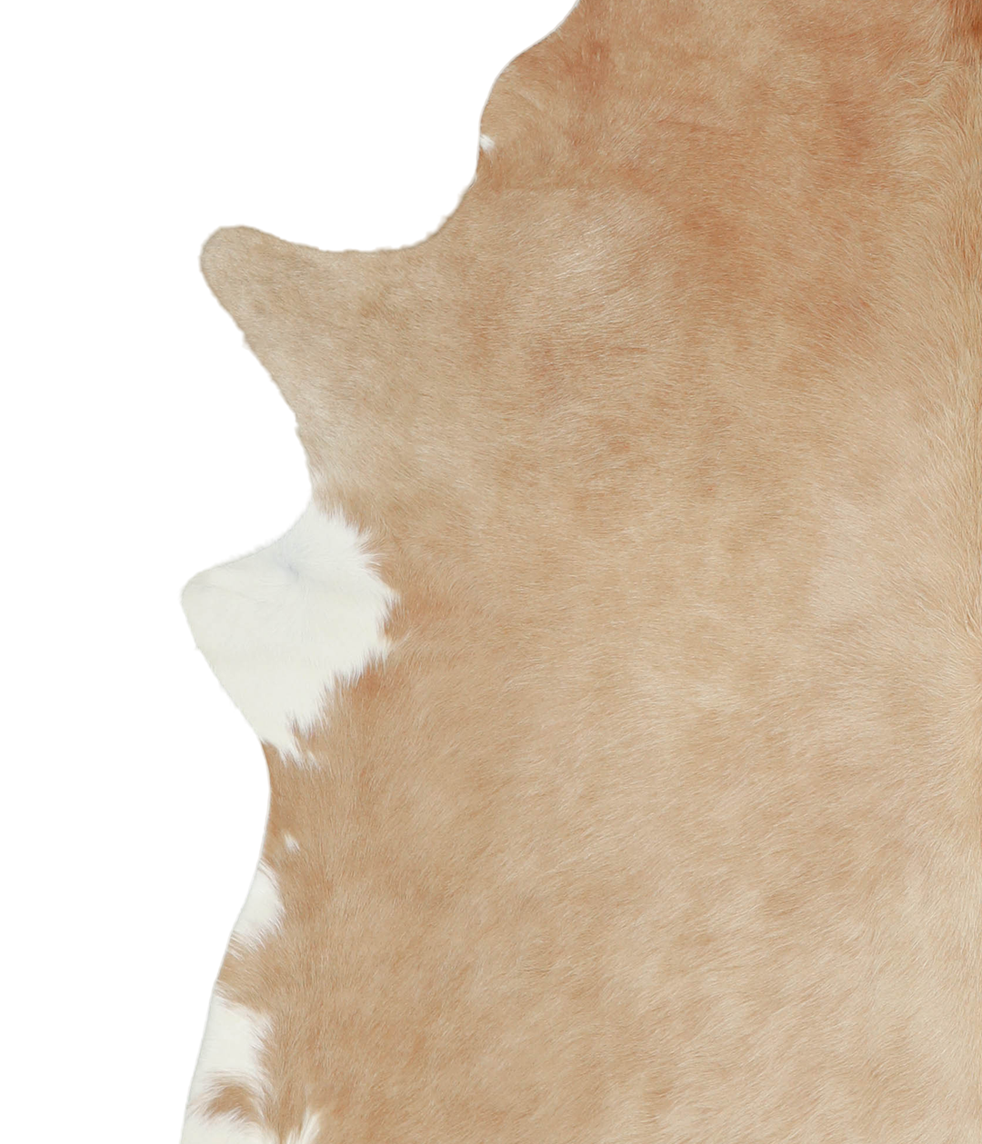 Beige XX-Large Brazilian Cowhide Rug 7'8"H x 6'10"W #A20875 by Hudson 