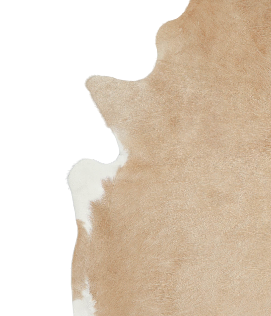Beige X-Large Brazilian Cowhide Rug 7'4"H x 6'9"W #A20882 by Hudson Hi