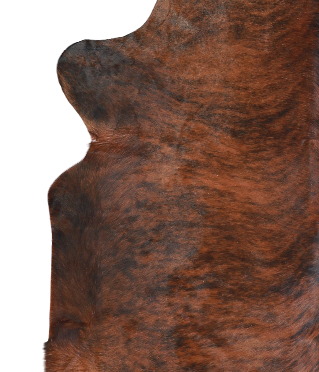 Medium Brindle X-Large Brazilian Cowhide Rug 6'7"H x 6'2"W #A20888 by 