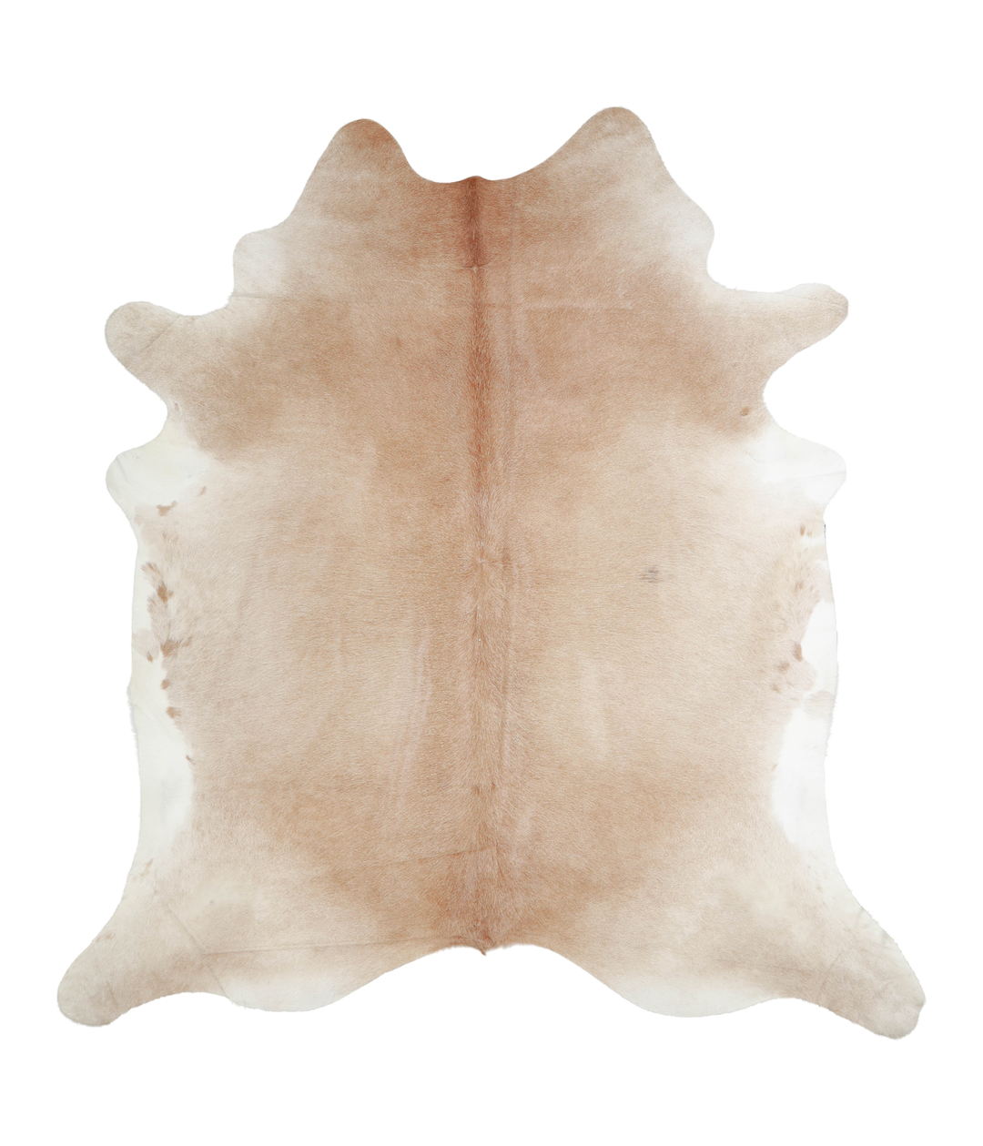 Beige XX-Large Brazilian Cowhide Rug 7'10"H x 7'2"W #A20896 by Hudson 
