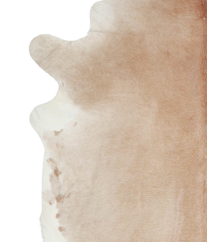Beige XX-Large Brazilian Cowhide Rug 7'10"H x 7'2"W #A20896 by Hudson Hides