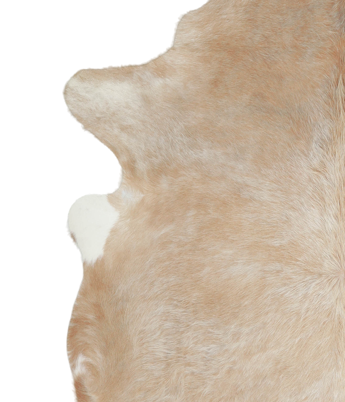 Beige X-Large Brazilian Cowhide Rug 7'4"H x 6'8"W #A20902 by Hudson Hides