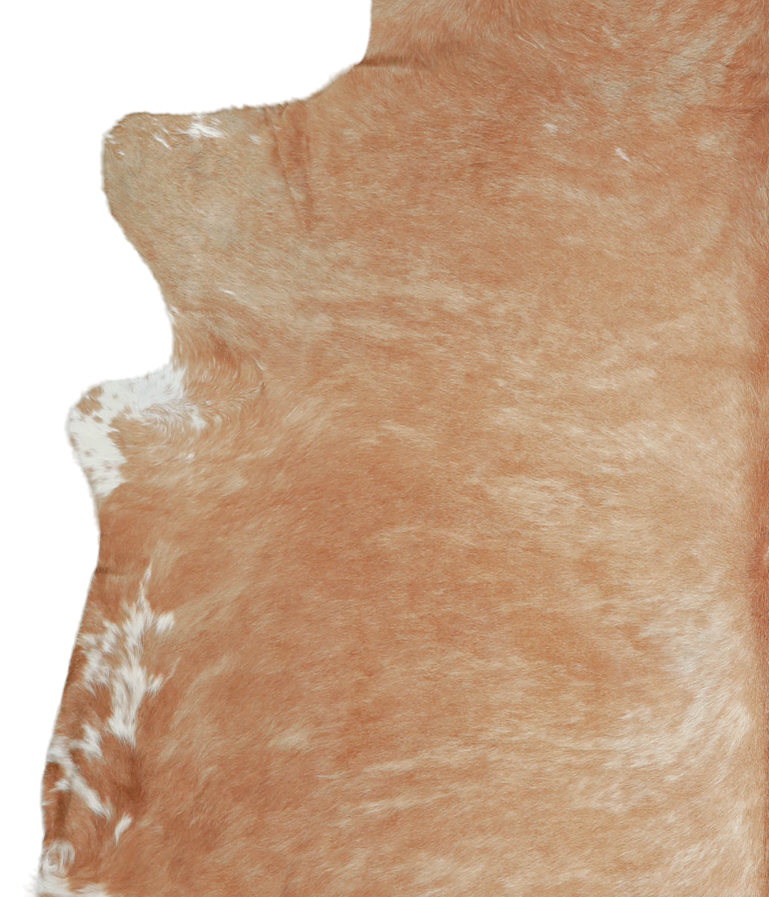 Beige XX-Large Brazilian Cowhide Rug 7'8"H x 6'8"W #A20908 by Hudson H