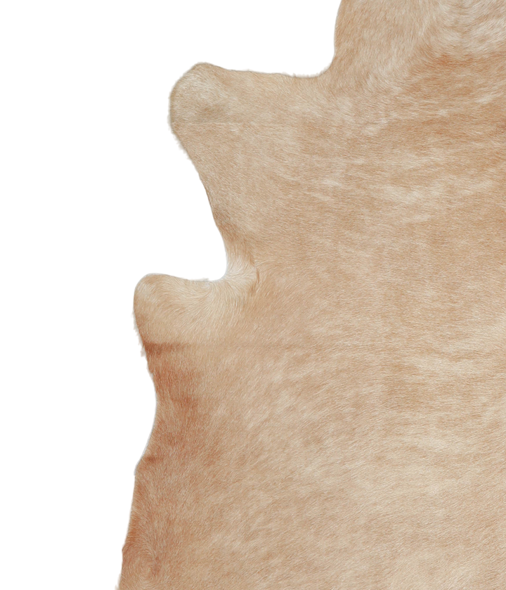 Beige XX-Large Brazilian Cowhide Rug 8'1"H x 7'1"W #A20914 by Hudson Hides