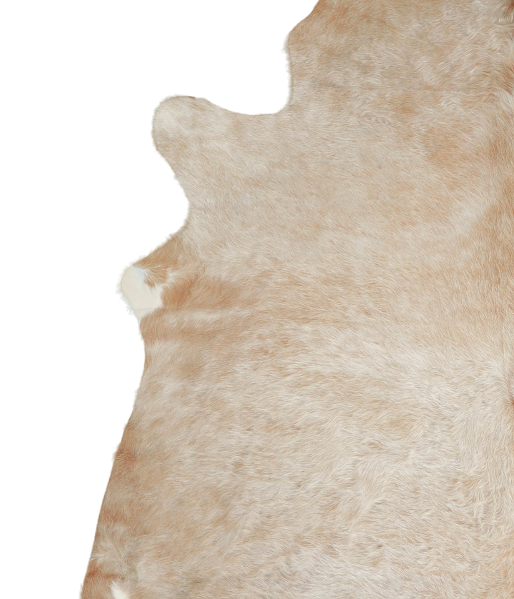 Beige XX-Large Brazilian Cowhide Rug 8'1"H x 7'3"W #A20919 by Hudson Hides
