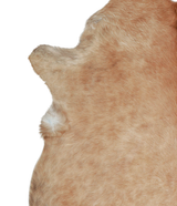 Beige XX-Large Brazilian Cowhide Rug 7'10"H x 6'8"W #A20926 by Hudson Hides